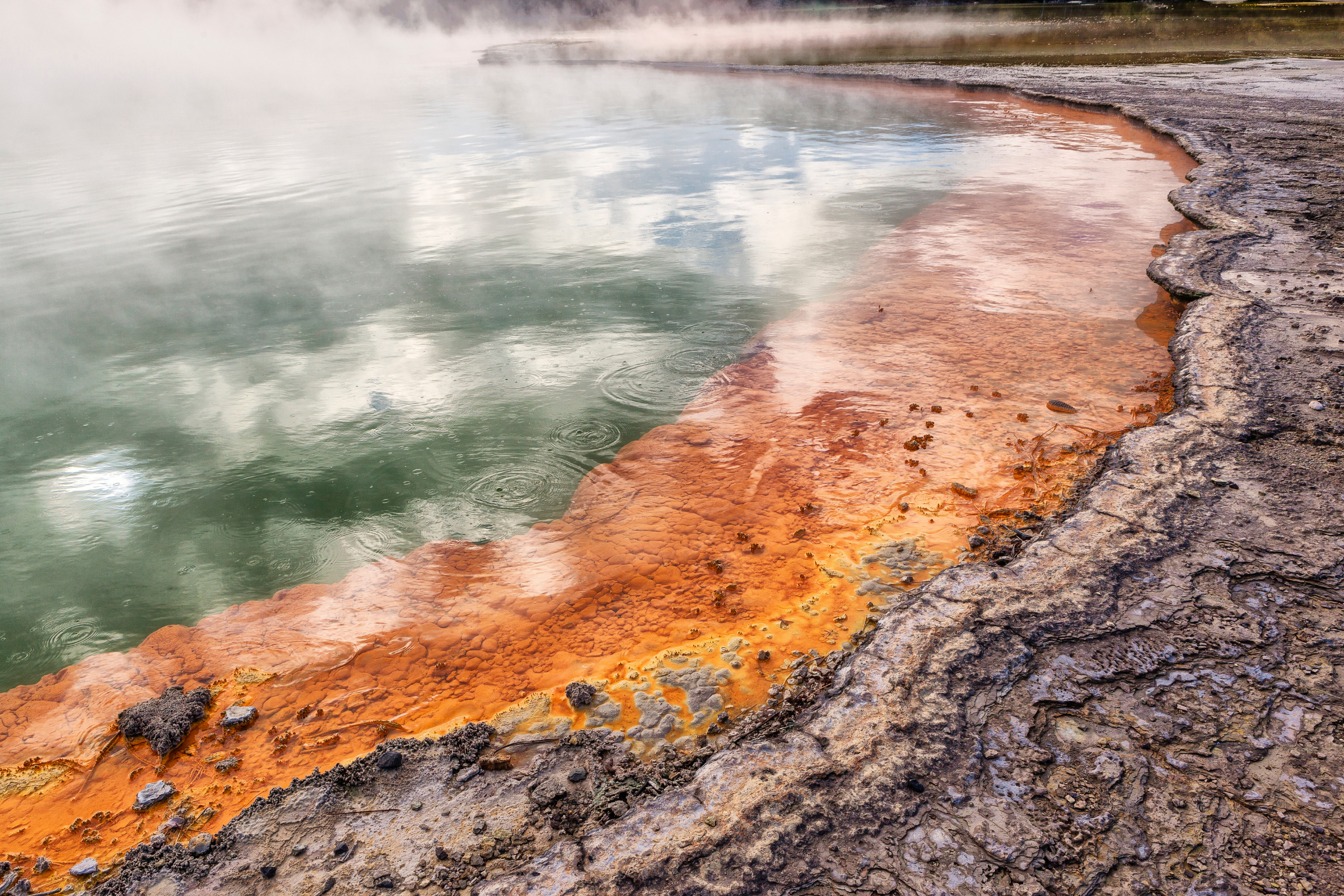 108 rotorua.webp